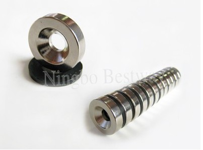 Neodymium Magnet with Screw Hole