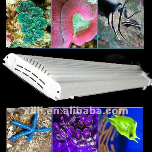 Hot sale 90cm 24X3W Led Aquarium Lighting for reef corals without fans