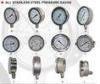 6&quot; EN 837-1 Liquid - Filled 304 Stainless Steel Pressure Gauges For Power Station, Mining