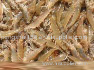 South American white prawn