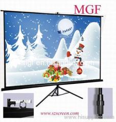 economic matte white portable screen