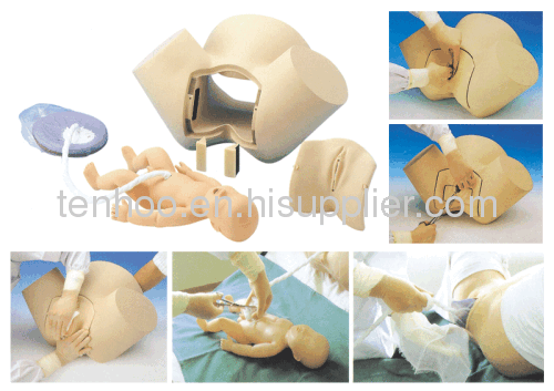 Gynecological Obstetric Manikin