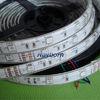 24V IP68 Waterproof 5050 SMD RGB Flexible Led Strip Light With CE, RoHS