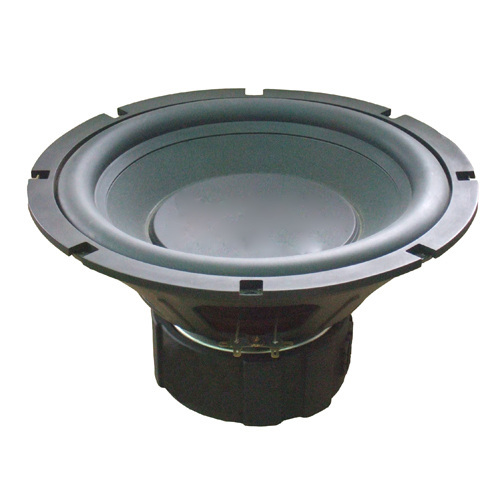 10" Car Audio Subwoofer