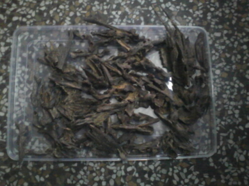 indian agarwood chips assam