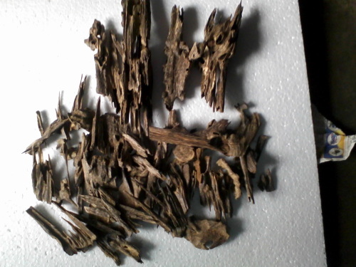 agarwood chips assam