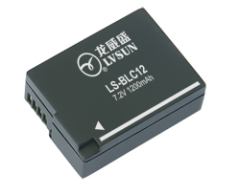 Digital Battery LS-BLC12