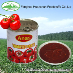 canned best quality tomato paste