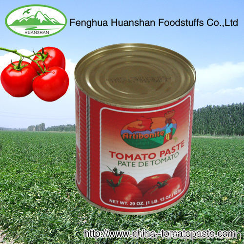 best 3000g canned tomato paste