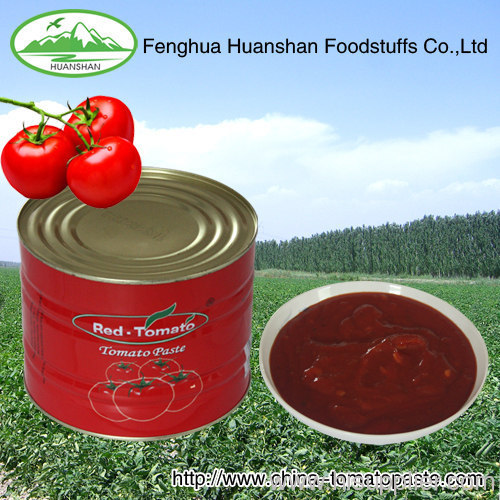 Canned 100% nature tomato paste process