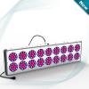 high power Apollo 18 led grow light for hydroponics