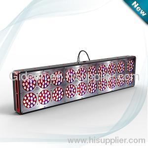 high power Apollo 20 led grow light hydroponics