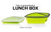 silicone cute lunch box