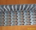 Galvanized Steel Nail Plate/ Gang nails / Plate nails design