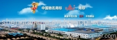 shengtai group tire Co.,Ltd