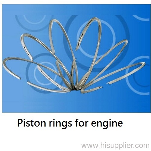 Piston Rings