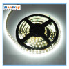 5m LED Strip Lights for Christmas Decoration