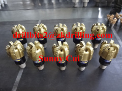 Steel Body PDC BIT Matrix body PDC BIT Diamond Bits