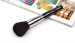 Best powder brush