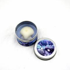 Sea Shell Tin Candle Holder (RC-286)