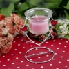 Glass Iron Candle Holder (RC-495)