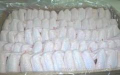 halal fresh frozen chicken fillet