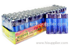 AA Size Carbon Battery( Nishica)