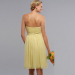 Best Bridesmaid Dress Evening Dress