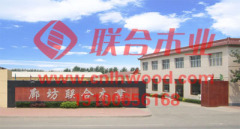 HEBEI LANGFANG UNION WOOD INDUSTRY CO LTD