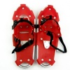 Skiing Special-purpose snow shoes