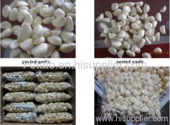 Supply Chinese exports fresh peeled garlic