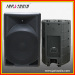 15" Passive Plastic Speaker Box YB15