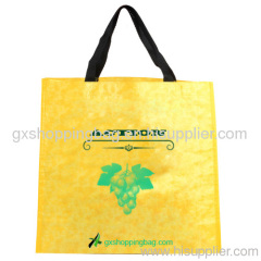 PP woven promotion shopping bag