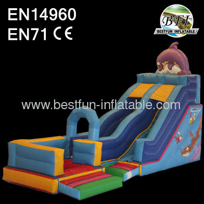 Water Slide With Pool DS0151F