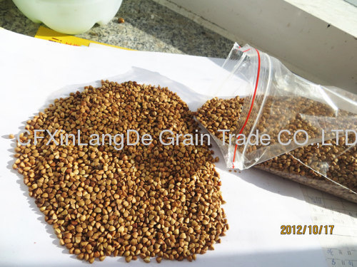 roasted buckwheat kernel 