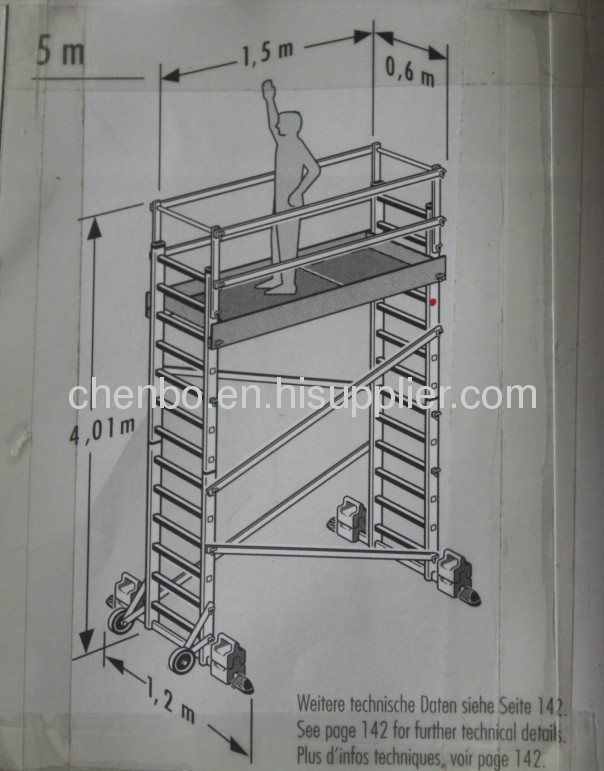 Scaffolding Ladders