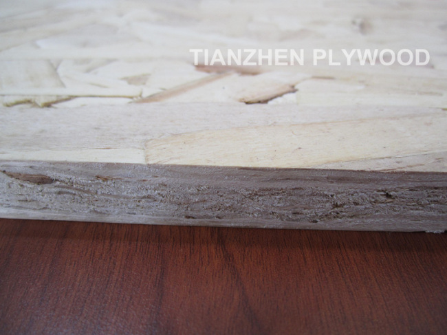 2013 NEW OSB BOARD / SKYPE: lyt571