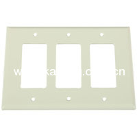 USA Type Faceplate Insert