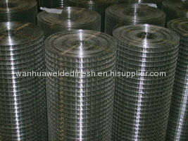 Stainless Steel Welded Wire Mesh