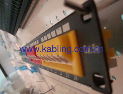 Cat 5e UTP 45 Degree Patch panel