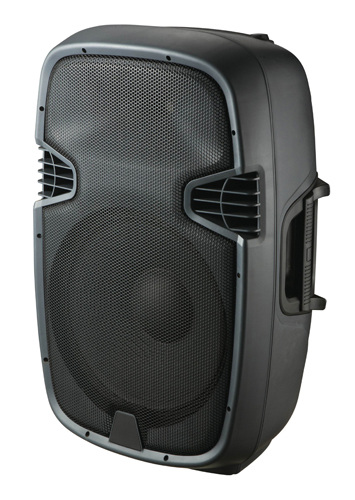 Portable 12 Inch 2 Way Speaker Box