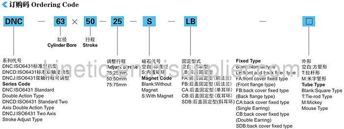 festo type air cylinder Pneumatic cylinder standard DNC