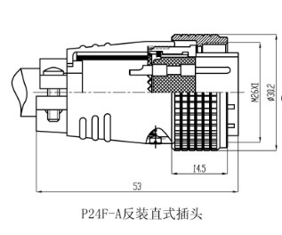 male circularplug