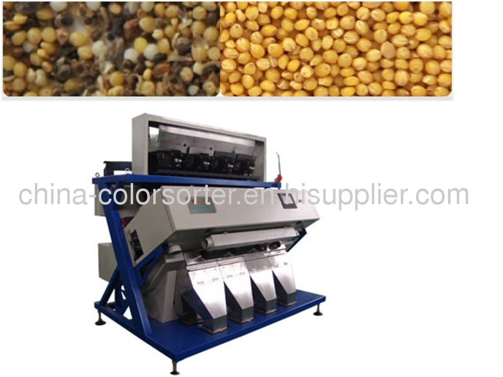 Yellow rice 2048 pixel CCD color sorter