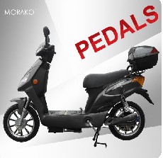 electric bike and scooter 200W