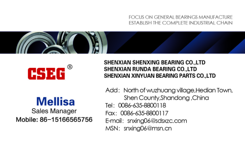 Shenxian Shenxing Bearing Co. Ltd