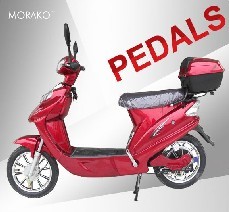 500W electric bike and scooter