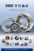 Deep groove ball bearing.