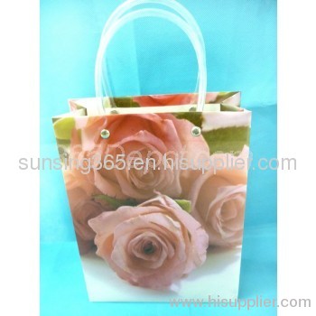 fashion gift bag/non woven bag