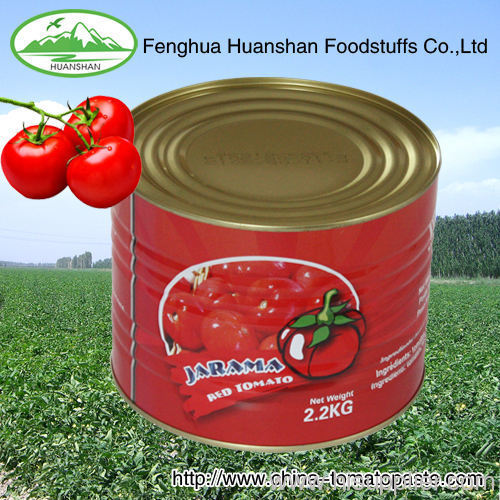double concentrated Aseptically vacuum-packed tomato paste